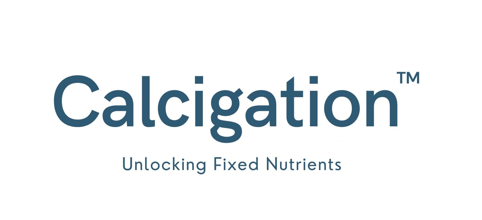 Calcigation